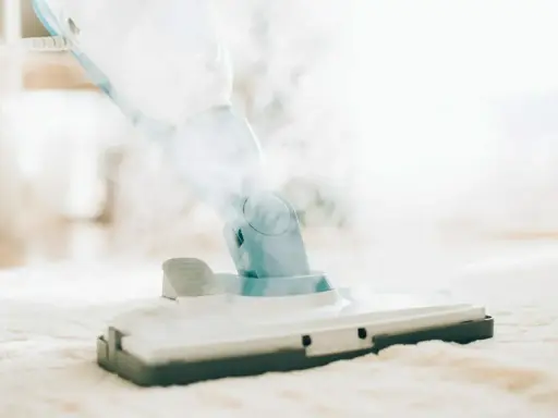 Vileda Steam Plus vs Ariete 10w1: Który mop parowy wybrać?