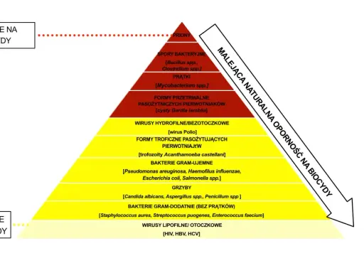 Piramide oporności drobnoustrojów na biocydy: od prionów po wirusy lipofilne.
