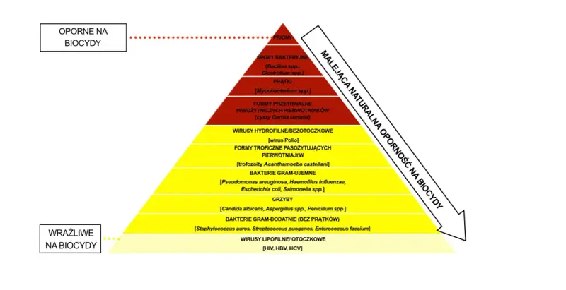 Piramide oporności drobnoustrojów na biocydy: od prionów po wirusy lipofilne.